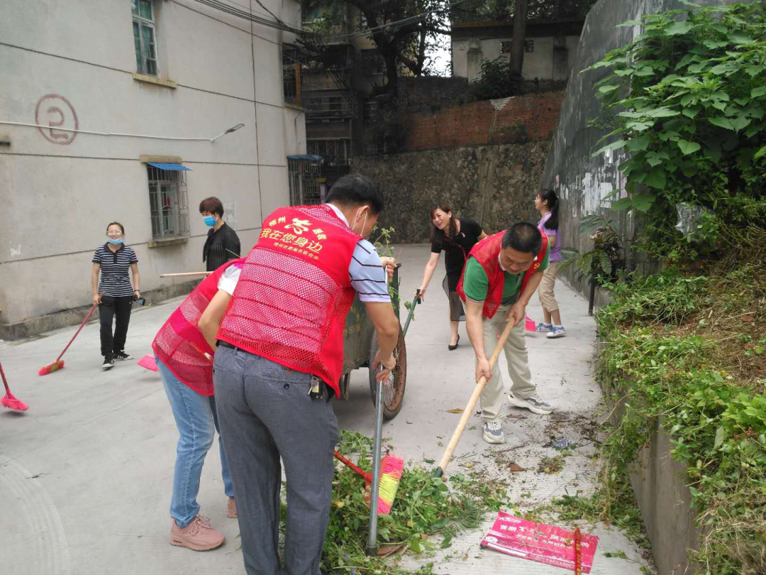龍圩區總工會開展無物業管理小區環境衛生綜治活動