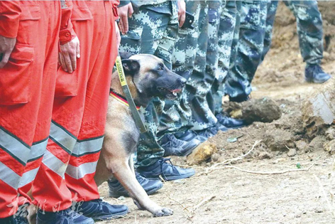 消防、武警、摩托車運輸隊等多方力量聯(lián)合搜救｜東航客機墜毀事故救援現(xiàn)場直擊