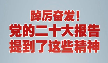 【黨的二十大】踔厲奮發(fā)！黨的二十大報告提到了這些精神