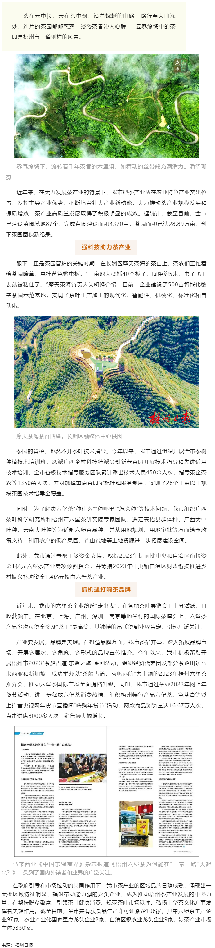 品牌強茶驅動特色產業提質增效丨梧州市加快推動茶產業高質量發展.png