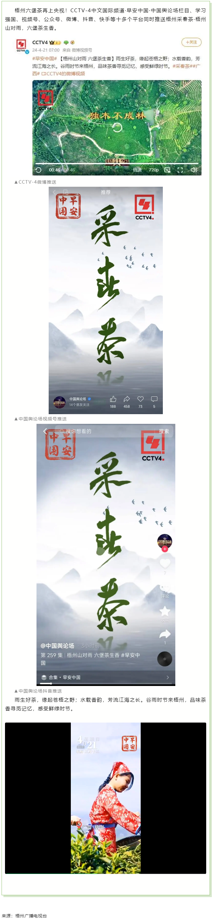 央視、學習強國等十多個平臺同時推送梧州采春茶·梧州六堡茶.png