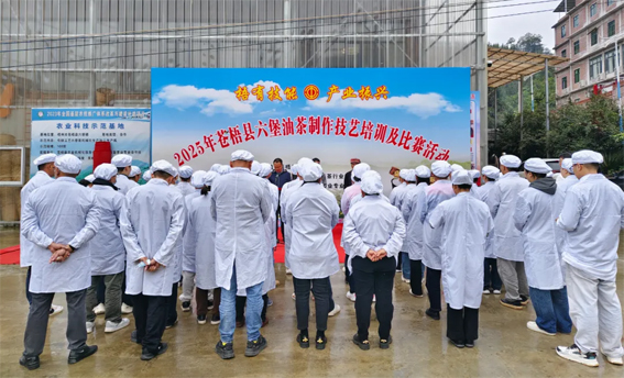 2025年蒼梧縣六堡油茶制作技藝培訓及比賽活動圓滿落幕！