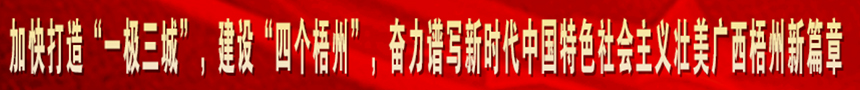 加快打造“一級(jí)三城市”，建設(shè)“四個(gè)梧州”，奮力譜寫(xiě)新時(shí)代中國(guó)特色社會(huì)主義壯美廣西梧州新篇章